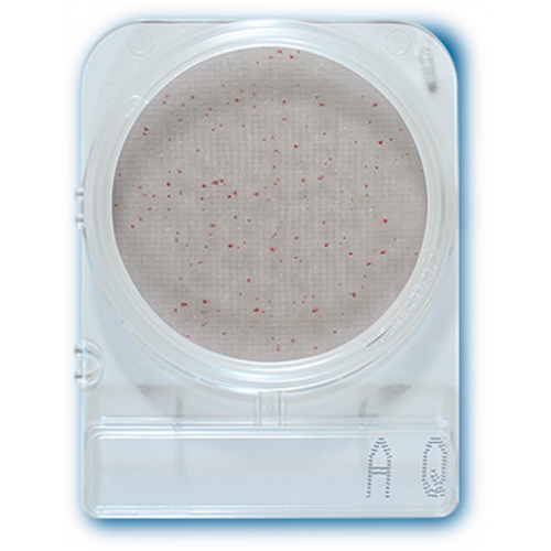 Compact Dry AQ - Placi Petri pentru Analiza Apei